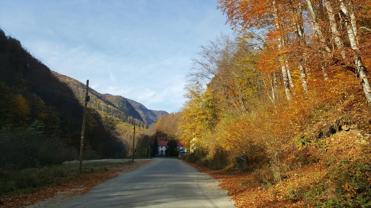 Hotel Galma Moroeni Bagian luar foto